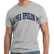 Alpha Epsilon Pi Arc T-Shirt (short sleeve)