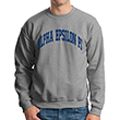 Alpha Epsilon Pi Arc Sweatshirt (crew neck)