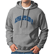 Alpha Epsilon Pi Arc Sweatshirt (hooded)