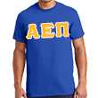 Alpha Epsilon Pi Lettered T-Shirt (short sleeve)