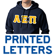 Alpha Epsilon Pi Standard Sweatshirt (hooded)