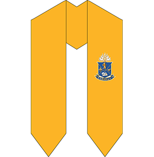 Alpha Epsilon Pi Graduation Sash