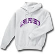 Alpha Phi Delta Arc Sweatshirt (hooded)