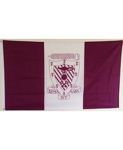 Sigma Alpha Mu Chapter Flag