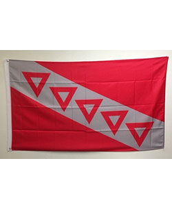 Tau Kappa Epsilon Chapter Flag