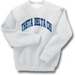 Theta Delta Chi Arc Sweatshirt (crew neck)