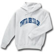 Theta Delta Chi Arc Sweatshirt (hooded)